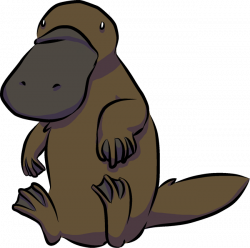 ForgetMeNot: Animals platypus