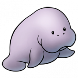 Pin on Manatee moments