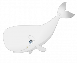 Oona's whale Cub Moby by Charming-Manatee on DeviantArt