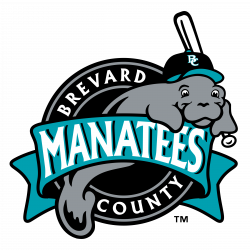 Brevard County Manatees Logo PNG Transparent & SVG Vector - Freebie ...