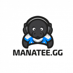 CS:GO Coach - Manatee | TEO Careers