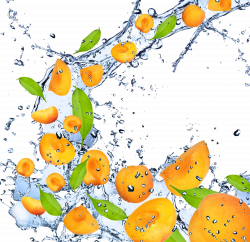 Fruit Apricot High-definition television 1080p Wallpaper - Mango ...