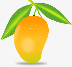 Yellow mango clipart 7 » Clipart Station