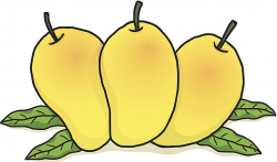 Clipart of mango 7 » Clipart Station