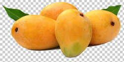 Alphonso Mango Fruit Devgad Taluka Organic Food PNG, Clipart ...