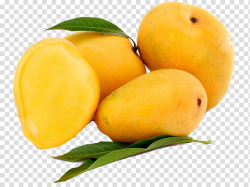Devgad taluka Alphonso Mangifera indica Mango Fruit, mango ...
