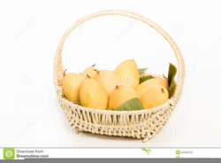 Clipart Basket Of Mangoes | Free Images at Clker.com ...