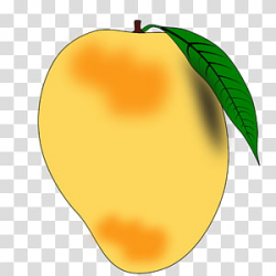 Big Mango transparent background PNG cliparts free download ...