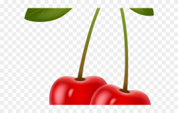 Cherry Clipart Mango Fruit - Cherry Berries - Png Download ...