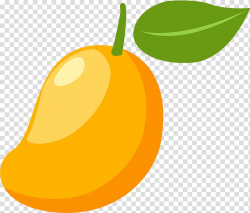 Mangifera indica Mango , cartoon mango transparent ...