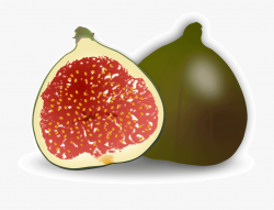 Mango Clipart Common Fruit - Fig Clipart Png #353695 - Free ...