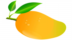28+ Collection of Mango Clipart | High quality, free cliparts ...