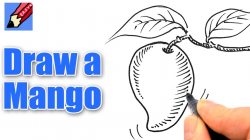 How to draw a Mango Real Easy