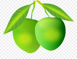 Mango Leaf clipart - Mango, Fruit, Graphics, transparent ...
