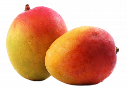 Mango PNG images free download