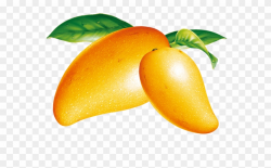 Mango Png Clipart - Fresh Mango Png, Transparent Png ...