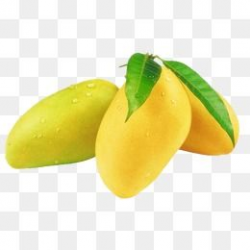 2019 的 Mango, Mango Clipart, Fruit PNG Transparent Clipart ...