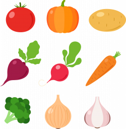 Fruit Vegetable Auglis Illustration - Flattened vegetables and ...