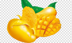 Juice Mango Fruit Flavor, Mango transparent background PNG ...