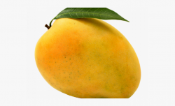 Orange Fruit Clipart Mango - Banganpalli Mango #1327550 ...