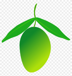 Mango Fruit Food Healthy Png Image - Green Mango Clipart Png ...