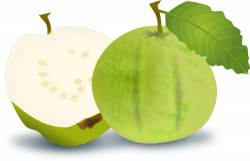Guava Fruit Orange Clip art - green apple slice 1920*1238 transprent ...
