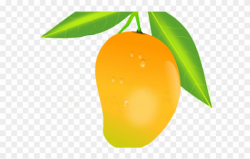 Fruit Clipart Mango - Mango Benefits In Hindi - Png Download ...
