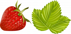 fruits_vegetables_and_berries_#12 (5) [преобразованный].png ...