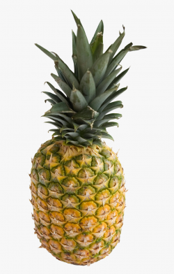 Mango Clipart Large Pineapple - Ananas Png #264550 - Free ...
