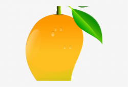Mango Clipart PNG & Download Transparent Mango Clipart PNG ...