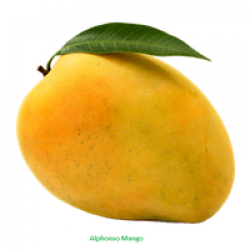 Download Mango Free PNG photo images and clipart | FreePNGImg