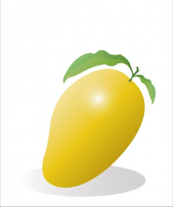 Illustration of a mango. - stock photo free