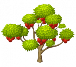 Rambutan tree clipart images gallery for free download ...
