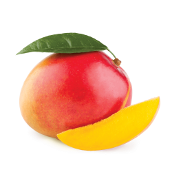Mango PNG Transparent Free Images | PNG Only