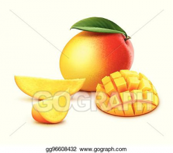 Vector Illustration - Whole and sliced mango cubes. Stock ...