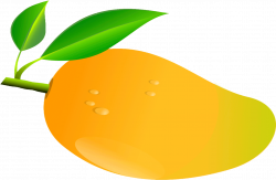 Mango Clipart At Getdrawings Mango Fruit Mango Clipart ...