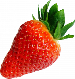 Strawberry PNG Transparent Free Images | PNG Only