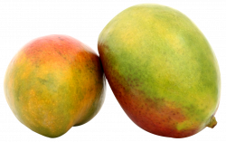 Two Mango PNG Image - PurePNG | Free transparent CC0 PNG Image Library