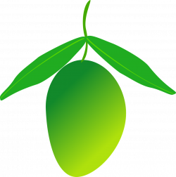 Fruit Mango - Green mango 1266*1280 transprent Png Free Download ...