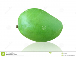 Green mango clipart 3 » Clipart Station