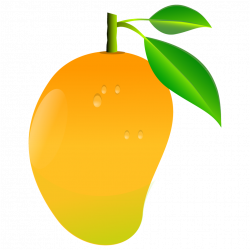 PNG Sector: Vector Mango - Mango PNG image & Mango Clipart