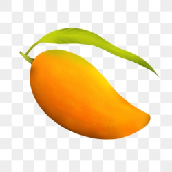 Mango Cartoons Png, Vector, PSD, and Clipart With ...