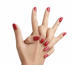 nails png - Free PNG Images | TOPpng