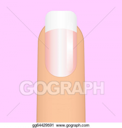 Vector Art - French manicure. Clipart Drawing gg64429591 ...