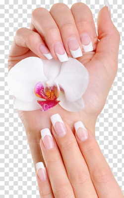Human hand with white manicure holding white orchid flower ...