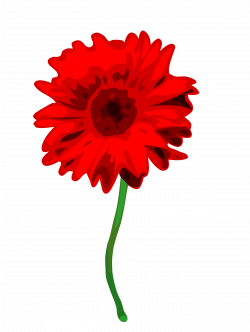 gerbera Icons PNG - Free PNG and Icons Downloads