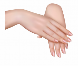 Manicure Clipart Woman's Hand - Female Hands Png ...