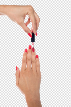 Nail polish Manicure, Creative nail polish transparent ...