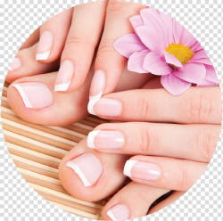 Pink Gerbera flower and nails with French tip nail colors ...