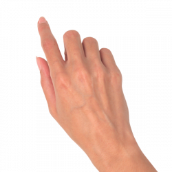 hand-woman-gesture.png (600×600) | look-gesture | Pinterest | Hand ...